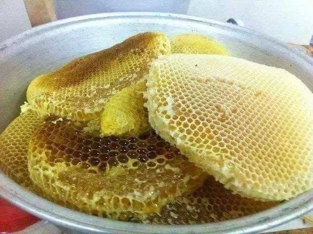 تجارة العسل