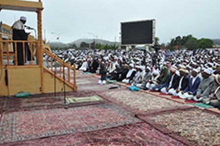 سالم مختار1