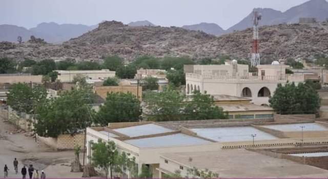 مدينة تسني